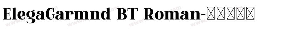 ElegaGarmnd BT Roman字体转换